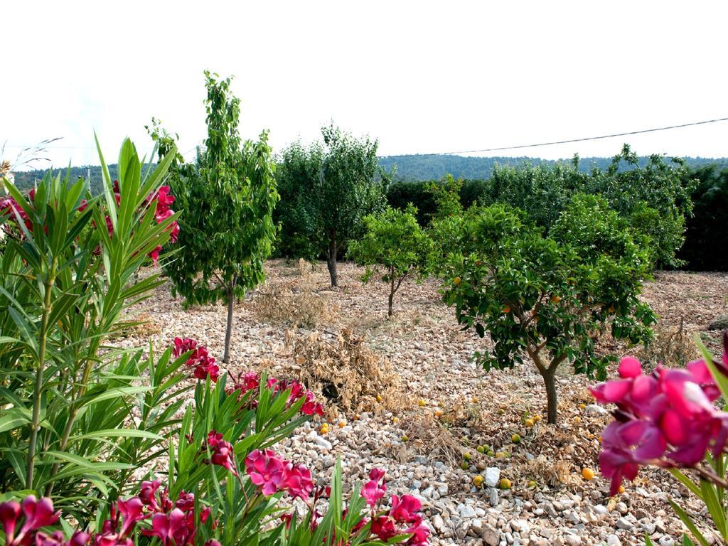 B&B La Formichina Peschici Exterior photo
